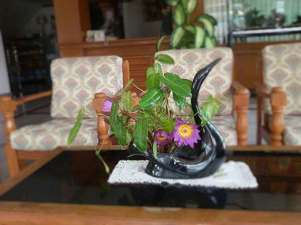 Ritzy House Hotel Chumphon Dış mekan fotoğraf